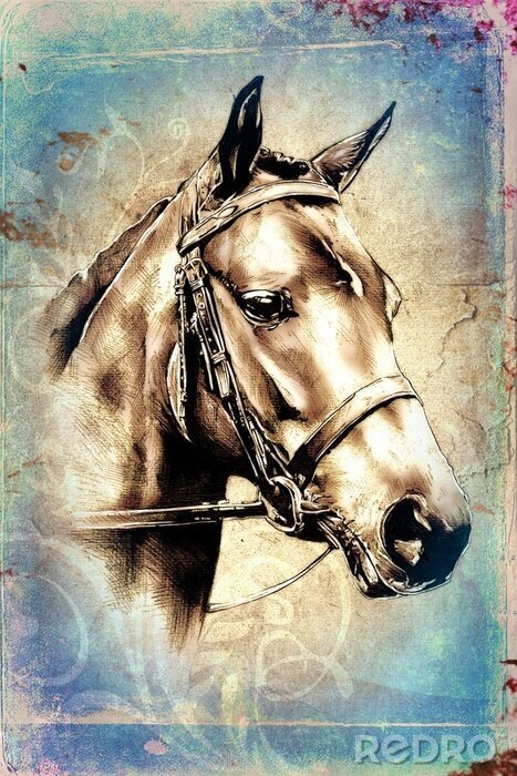 Poster Dierenkop motief