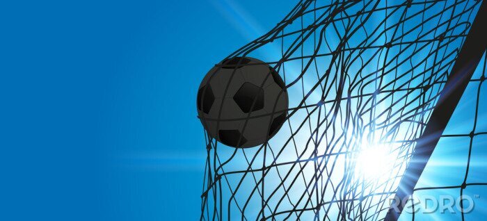 Poster Doel in de zon