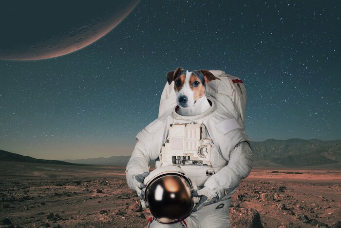 Poster Dog astronaut in a space suit with a helmet travels on Mars. Spaceman animal on a red planet. Space journey concept