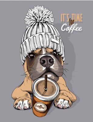 Poster Dog Boxer in a knitted cap with pompom and coffee to go. Vector illustration.