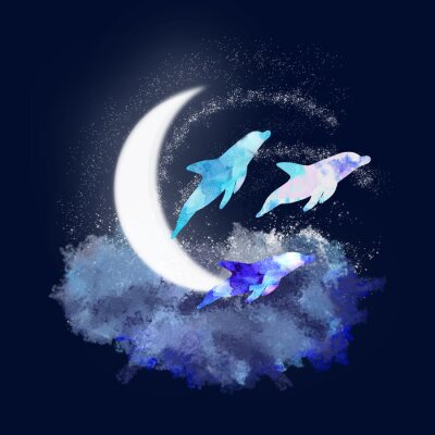 Poster Dolfijnen in de lucht