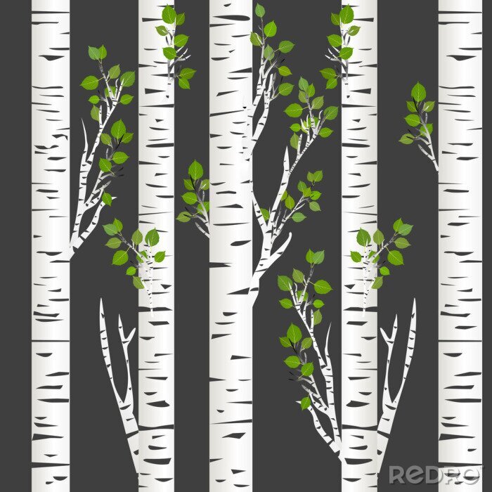 Poster Donkere nacht in de berken