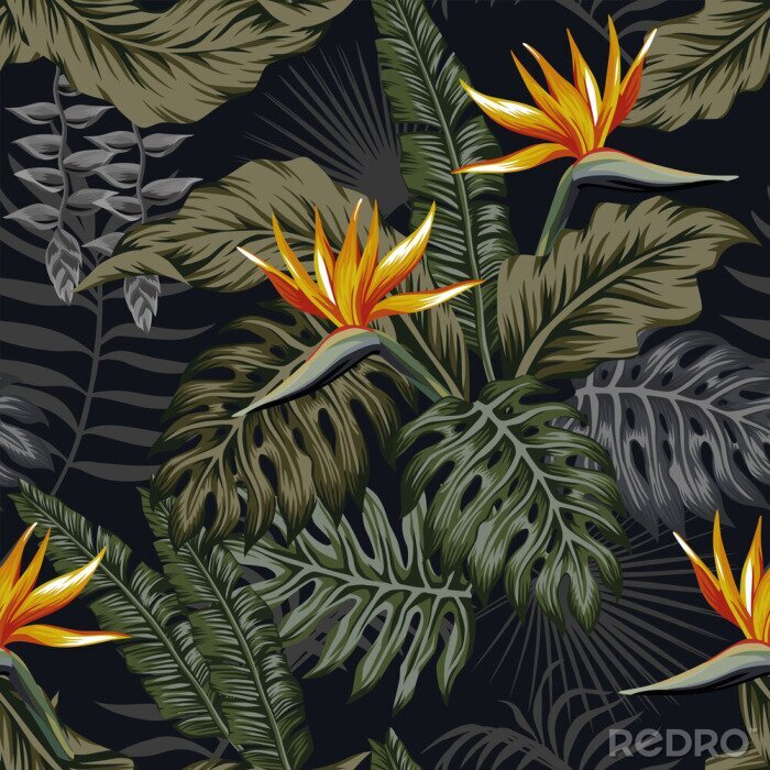 Poster Donkere tropen met exotische bladeren