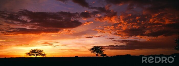 Poster Donkere zonsondergang