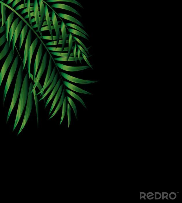 Poster Donkergroene palmbladeren op een zwarte achtergrond