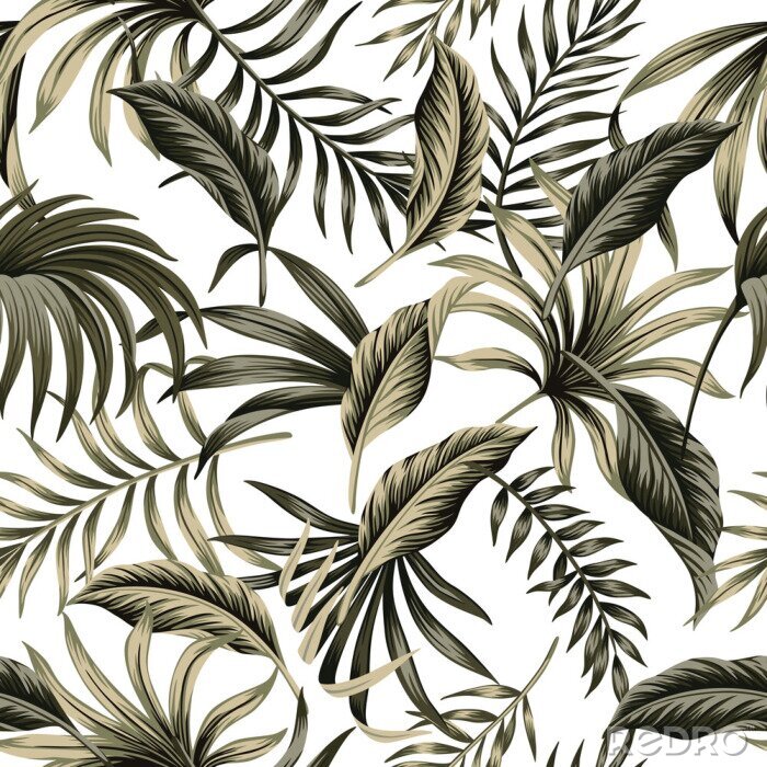 Poster Donkergroene tropische bladeren