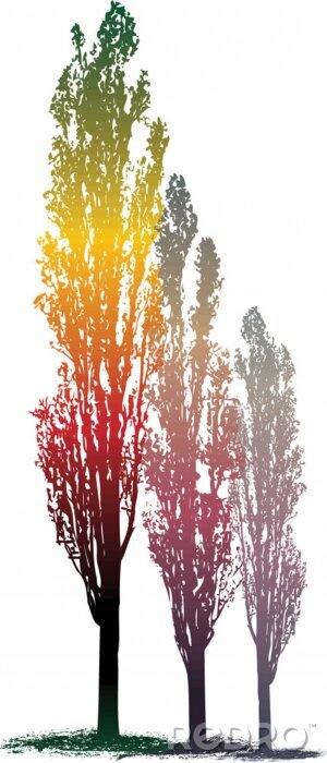 Poster Drie bomen in regenboogkleuren