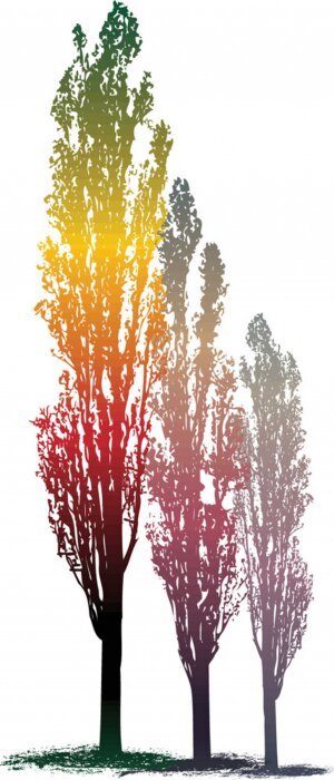 Poster Drie bomen in regenboogkleuren