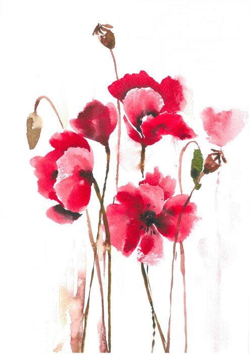 Poster Drie klaprozen met zichtbare middelpunten