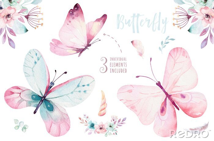 Poster Drie pastelkleurige vlinders en bloemcomposities