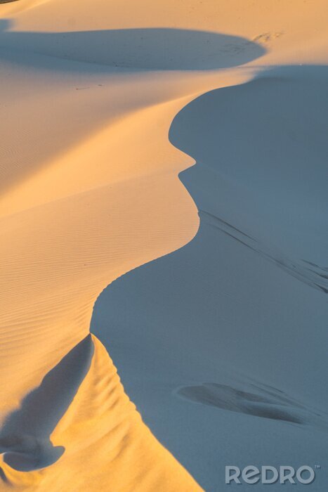 Poster duinen en zand in woestijnlandschap