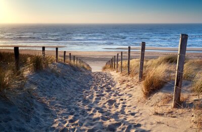 Duinen strand en weg
