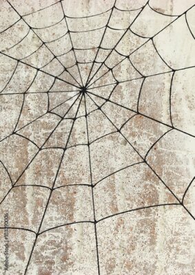Poster Een afbeelding met een spinnenweb op een betonnen achtergrond.