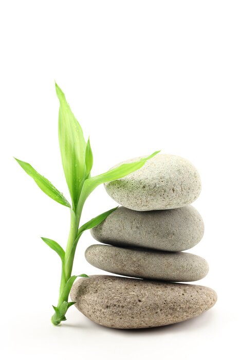 Poster Een bamboetak leunend tegen een stapel stenen