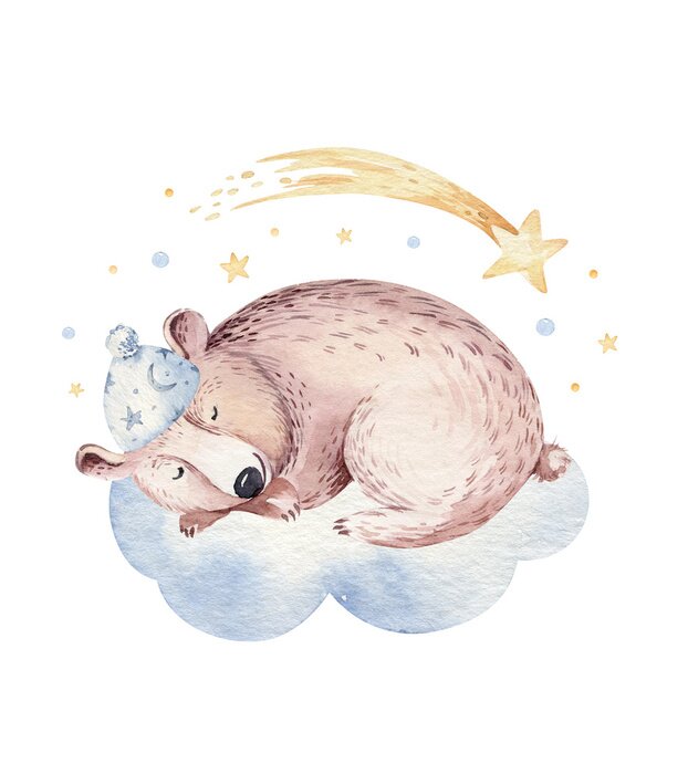 Poster Een beer die op een wolk slaapt en een vallende ster