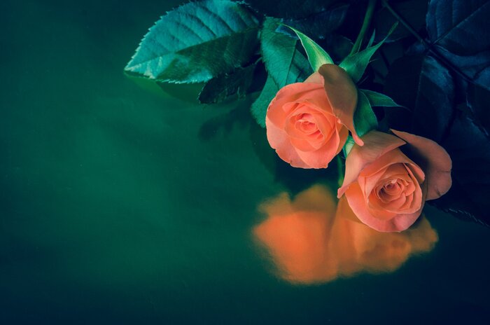 Poster Een boeket van decoratieve bloemen op een saffierachtergrond