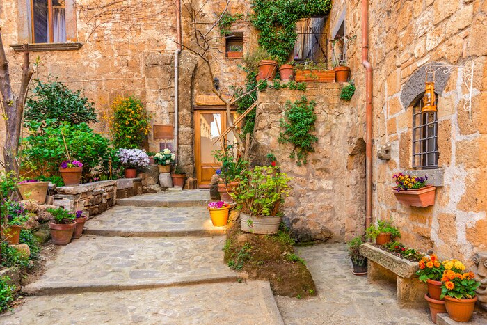 Poster Een charmant stenen gebouw met bloempotten en klimplanten tegen de muur.