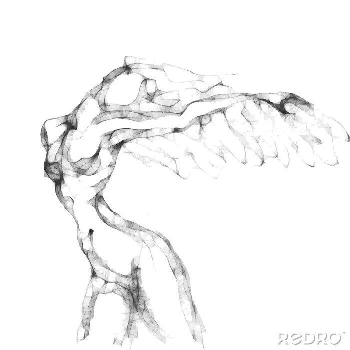 Poster Een delicate schets van een vrouw met loshangend haar