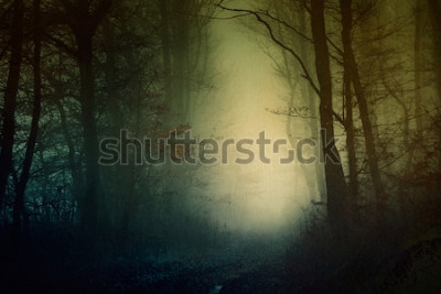 Poster Een donker bos in de schemering met een heldere gloed in het midden.