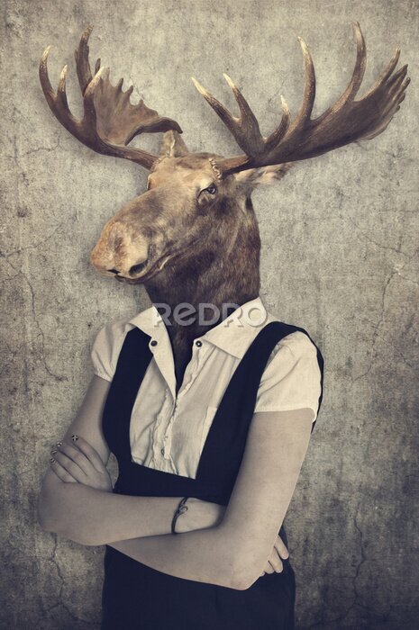 Poster Een eland in mensenkleding