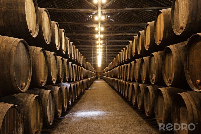 Poster Een enorme wijnmakerij in Porto, vol met wijnvaten.