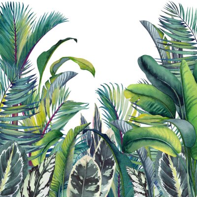 Poster Een heldere jungle vol planten
