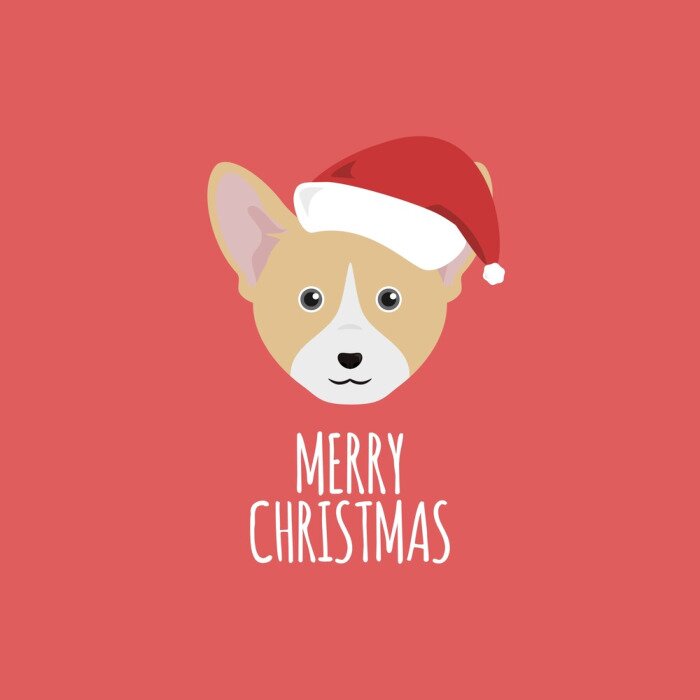 Poster Een hond met een kerstmuts