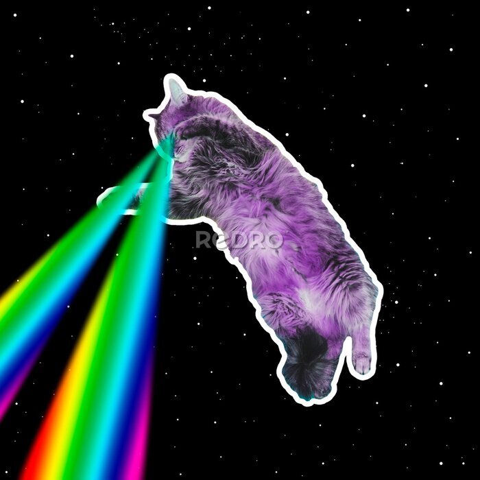 Poster Een kat met regenbooglasers