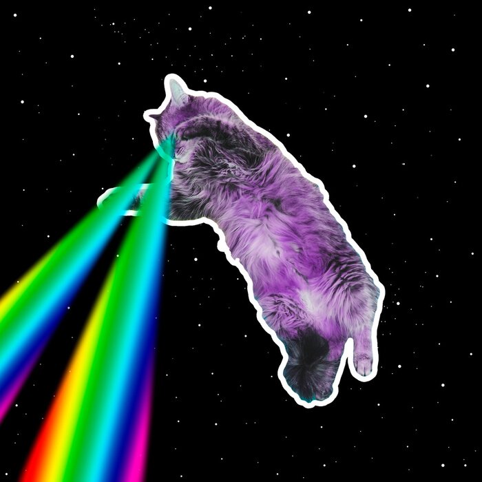 Poster Een kat met regenbooglasers