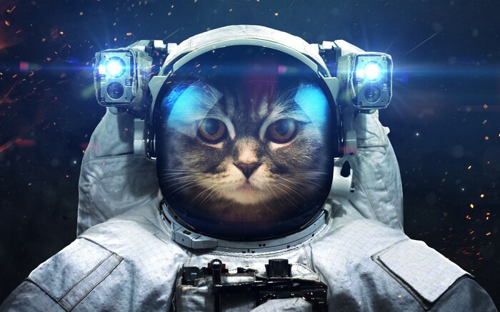 Poster Een kattenastronaut in de ruimte