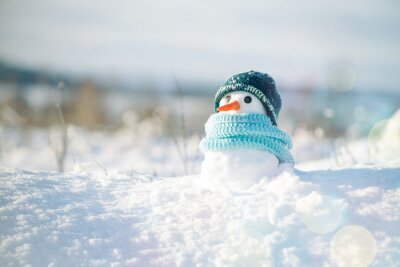 Poster Een kleine sneeuwpop in een sjaal en muts