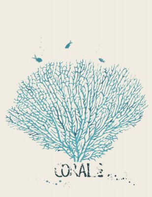 Poster Een koraaltak zichtbaar op een witte achtergrond.