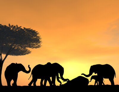 Poster Een kudde olifanten in de ondergaande zon