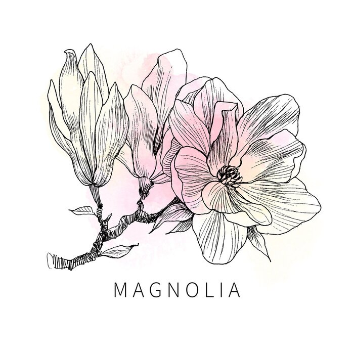 Poster Een magnoliatak gevuld met pastelkleuren