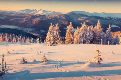 Poster Een met sneeuw bedekte bergweide