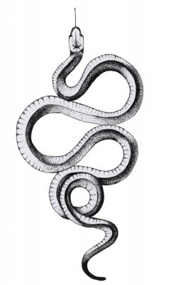 Poster Een minimalistische tekening van een slang met zijn tong uit