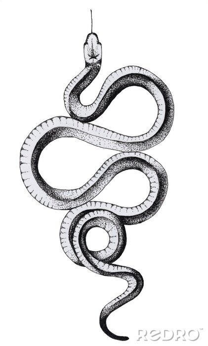 Poster Een minimalistische tekening van een slang met zijn tong uit