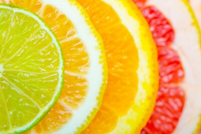 Poster Een patroon van kleurrijke citrusvruchtenschijfjes