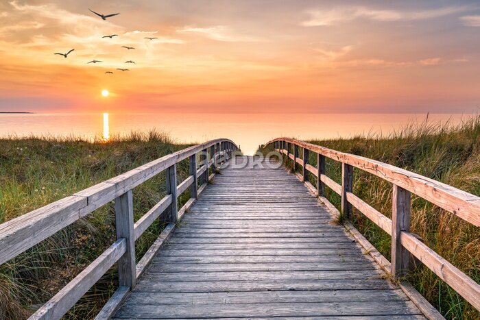 Poster Een steiger over de zee in het licht van de zonsopgang