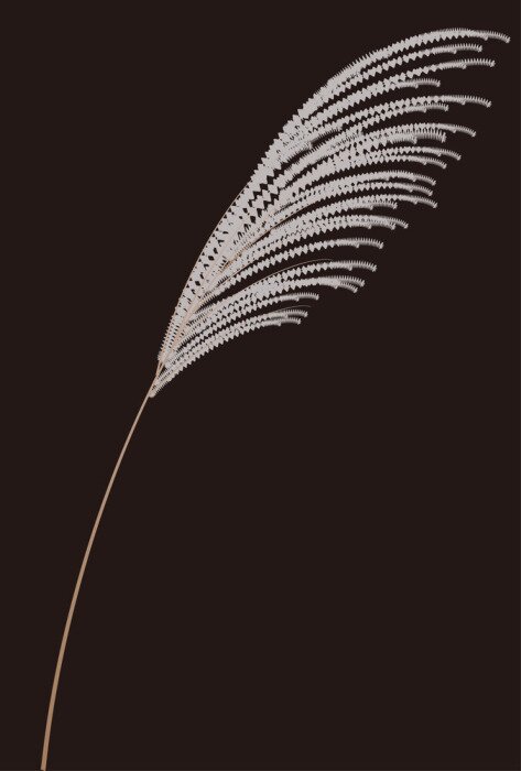 Poster Een stengel siergras op een zwarte achtergrond