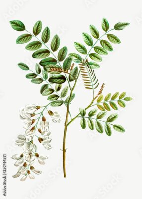 Poster Een tak met bladeren en bloemen