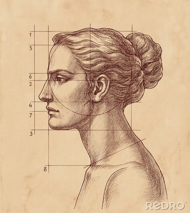 Poster Een tekening van het gezicht van een vrouw en lijnen die de verhoudingen aangeven