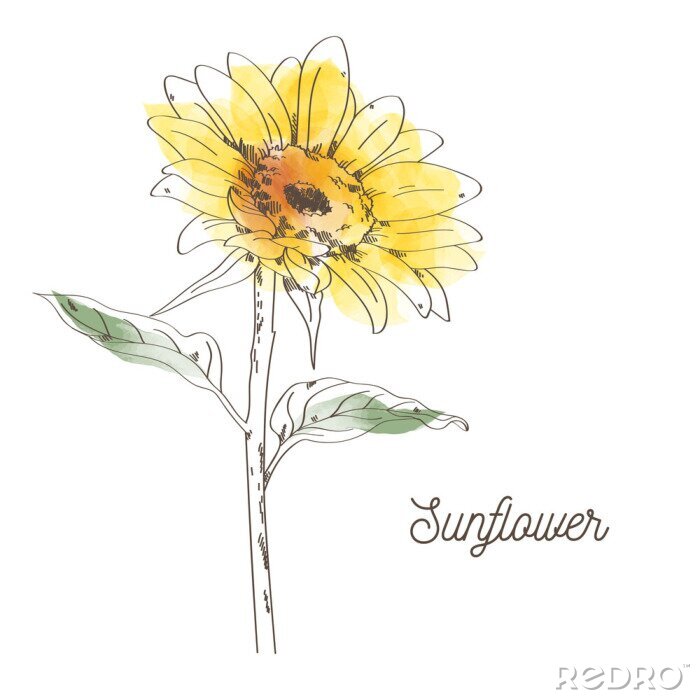 Poster Een tekening van zonnebloemen gevuld met een kleurrijke patch