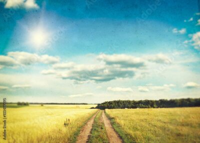 Poster Een veldweide gefotografeerd in een nostalgische stijl.