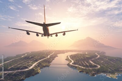 Poster Een vliegtuig dat over een tropisch eiland vliegt.