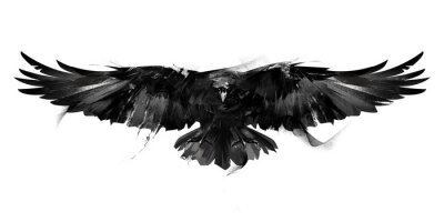 Poster Een vogel met gespreide vleugels