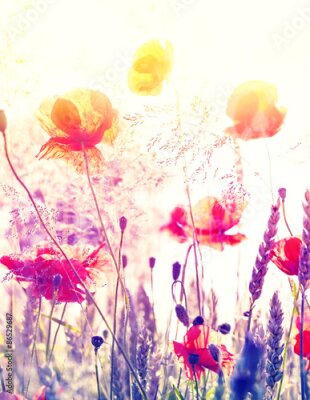 Poster Een weide vol wilde bloemen in het licht van de zonsopgang.