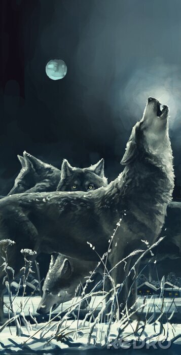 Poster Een wolf die naar de maan huilt