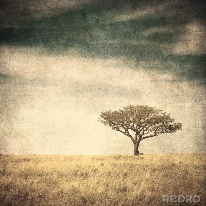 Poster Eenzame boom in vintage stijl