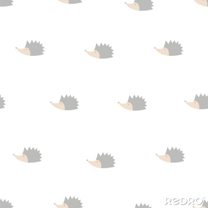 Poster Egels op een witte achtergrond